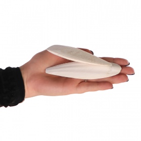 Cuttlebone di seppia naturale