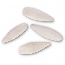 Cuttlebone di seppia naturale