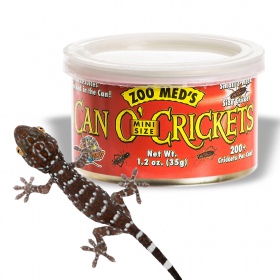 Can O' Crickets - Little Crickets Food