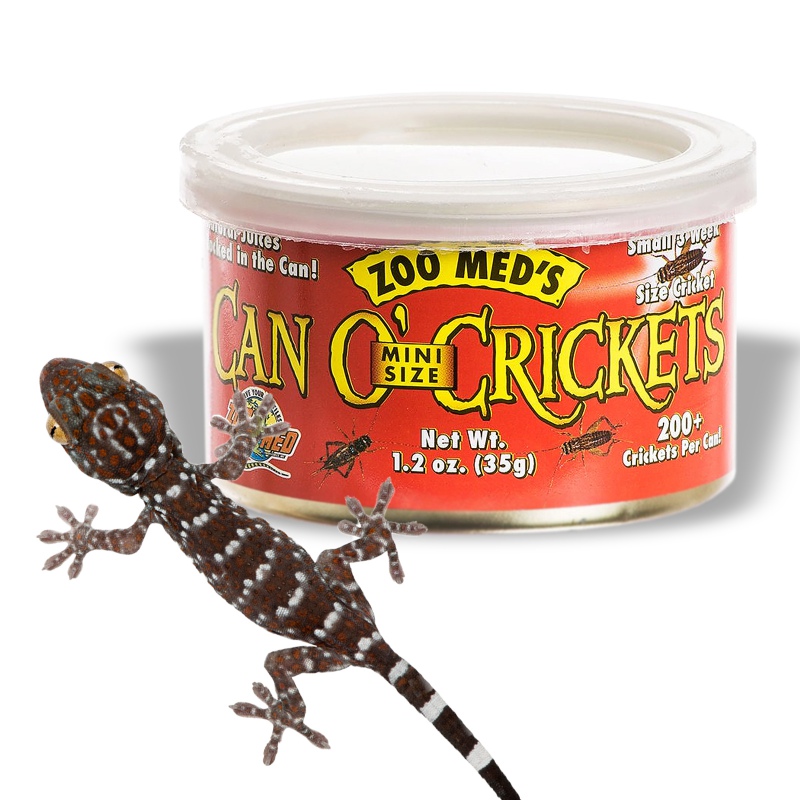 Zoomed Can O' Crickets Klein in blik