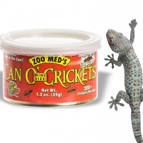 Zoomed Can O' Crickets Klein in blik