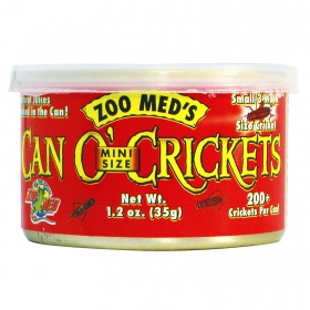 Zoomed Can O' Crickets Klein in blik