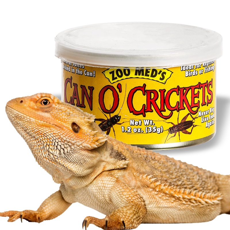 Zoomed Can O' Crickets Medium - корисний корм