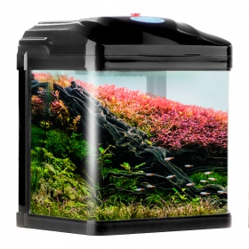 Aquarium SUNSUN Pika-Pika AquaKids 3L Noir