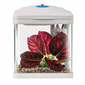 Set SUNSUN Pika-Pika AquaKids - Acquario 3L Bianco