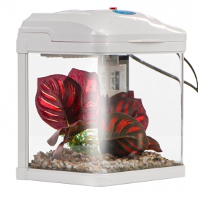 SUNSUN Pika-Pika 3L Aquarium Set for Kids