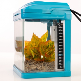 SUNSUN Pika-Pika AquaKids Set - 3L Aquarium Blau