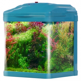 Acquario SUNSUN Pika-Pika AquaKids Blu 3L