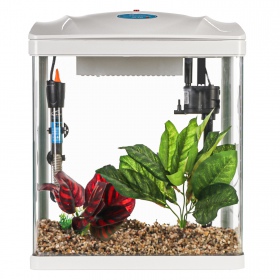 SunSun Bloop Aquaset 19L - Aquarium Set