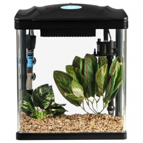 SunSun Bloop Aquaset 19L - Aquarien-Set