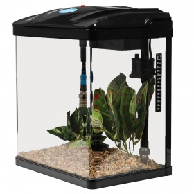 SunSun Bloop Aquaset 19L - Aquarien-Set