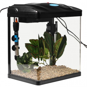 SunSun Bloop Aquaset 19L - Aquarium Set