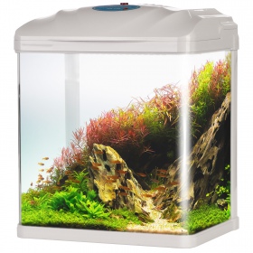 SunSun HR-230 Aquarium Set 7l für Fische und Garnelen