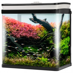 SunSun HGR-300: 14l aquarium set black