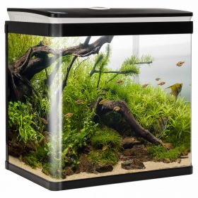 SunSun HGR-380 Aquarium 29l - Ideal for Everyone