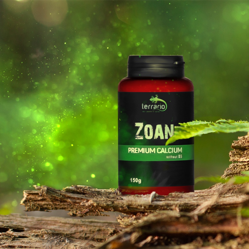 Terrario Zoan Calcium utan D3 150g