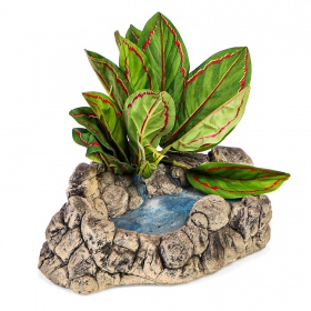 Terra Mind - Wasserfall 2in1 für Terrarium