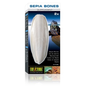 EXO TERRA Sepia Bones voor Reptielen