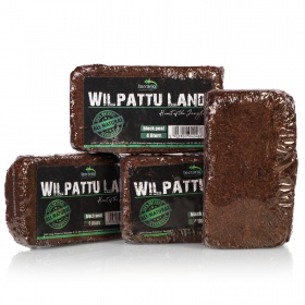 Terrario Wilpattu Land 4l - Sustrato Coco