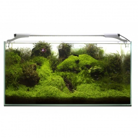 Aquael Leddy Slim 32W für perfektes Licht im Aquarium