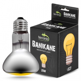 Terrario Banikane Neodymium Light