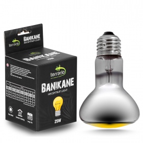 Terrario Neodym-Heizlampe 25W