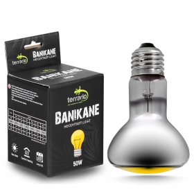 Terrario Banikane Luz de Neodimio 50W