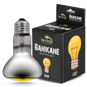 Terrario Banikane Neodymium Light 50W żarówka