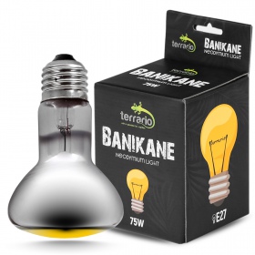 Terrario Banikane Neodymium Light - żarówka grzewcza neodymowa 75W