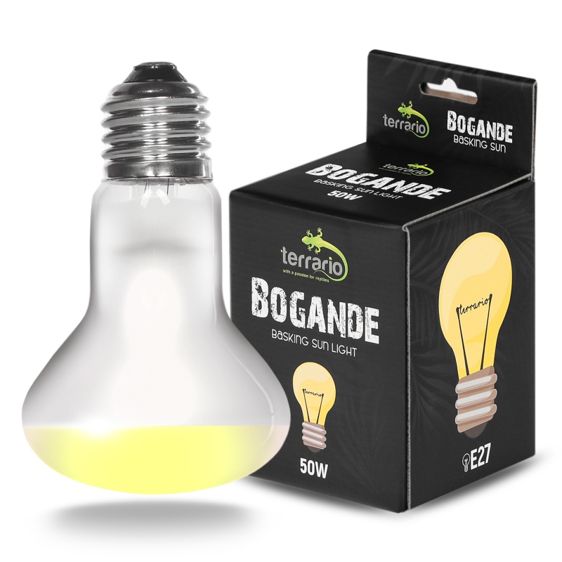 Heizlampe 50W für Terrarium