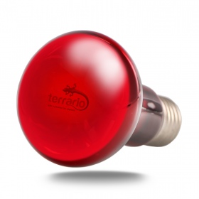 Terrario Red Night Light - 50W bulb