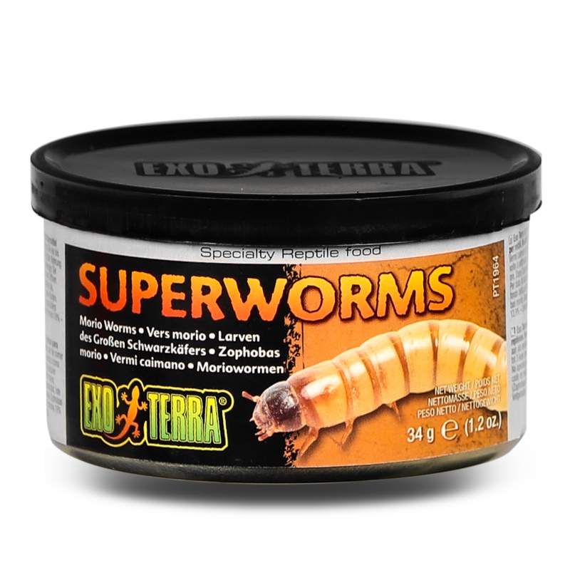 EXO TERRA Superworms - Canned Food