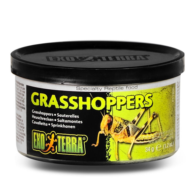 EXO TERRA Canned Grasshoppers, Fresh & Nutritious