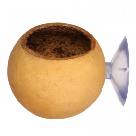 Terrario Hang Bowl Natural - hanging bowl