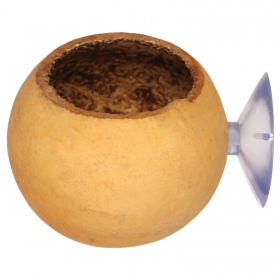 Terrario Hang Bowl Natural - hanging bowl