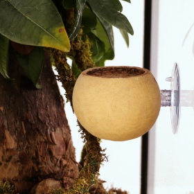 Terrario Hang Bowl Natural - hanging bowl