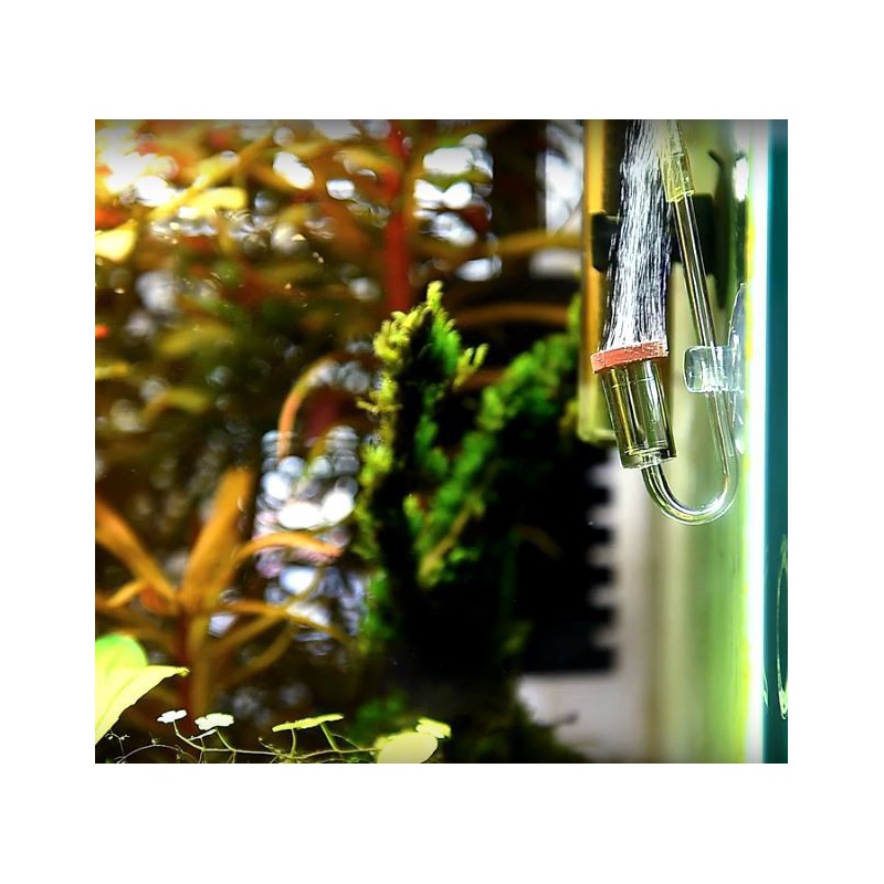 NEO Diffuser L - robuster CO2 Diffusor für Aquarien