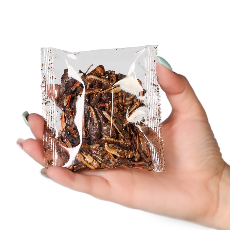 SHOKUMOTSU Medouhosu Dried Grasshopper 55ml