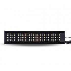 Lâmpada LED Repti-Zoo 15W para terrário