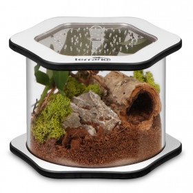 Terrario Spiders Tube Big100 - Akrylt Terrarium