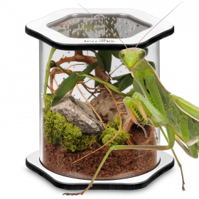 Terrario Spiders Tube Big150 - Akrylowe Terrarium