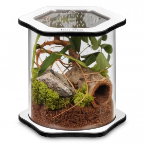 Terrario Spiders Tube Big150 - elegant acryl terrarium