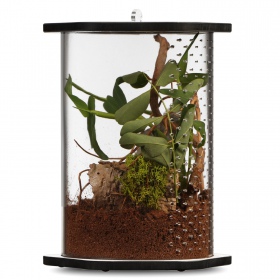 Terrario Spiders Tube Big200 - terrarium akrylowe