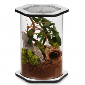 Terrario Spiders Tube Big200 - Eleganckie Terrarium