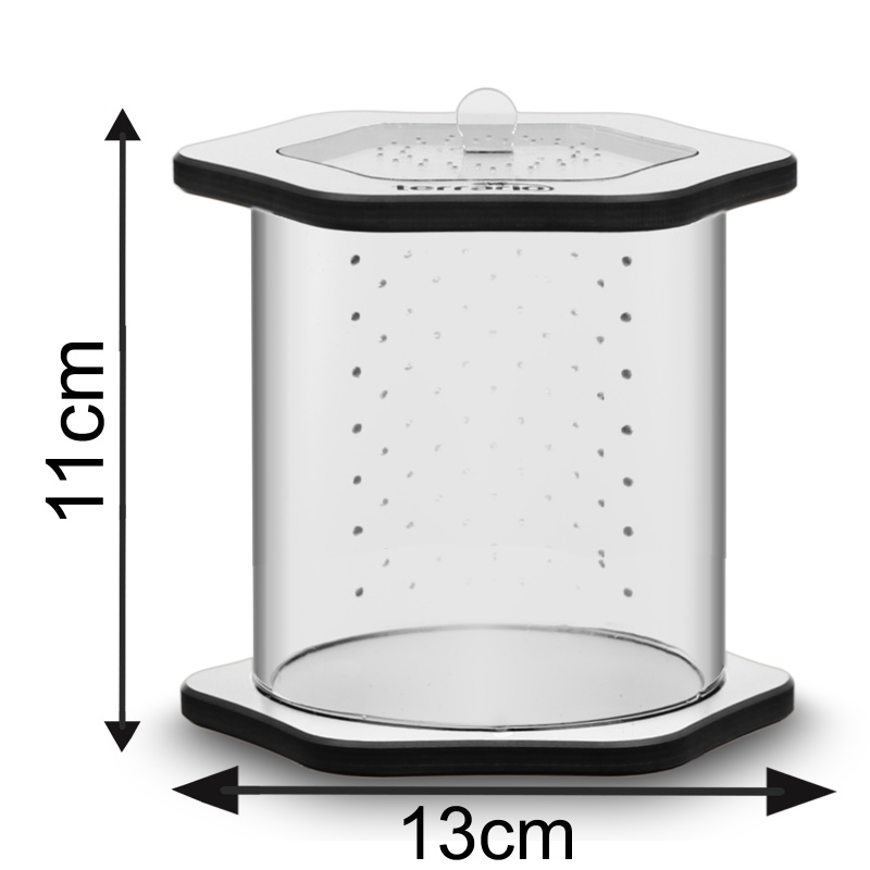 Terrario Spiders Tube Med100 - Tyylikäs akryyliterraario