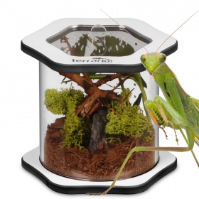 Terrario Spiders Tube Med100 - terrarium akrylowe