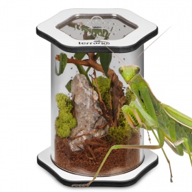 Terrario Spiders Tube Med150 - terrarium akrylowe