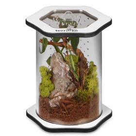 Terrario Spiders Tube Med150 - Akrylt terrarium