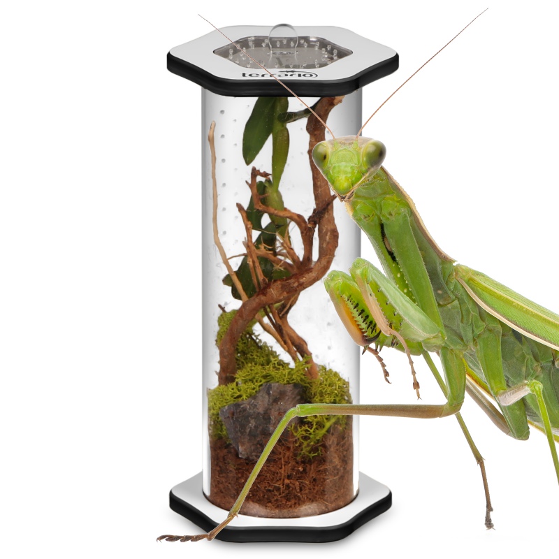 Terrario Spiders Tube Tall200 - terrarium akrylowe