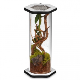 Terrario Spiders Tube Tall200 - terrarium akrylowe